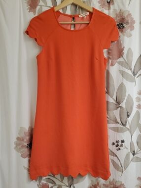 Coral Scalloped Sheath Dress